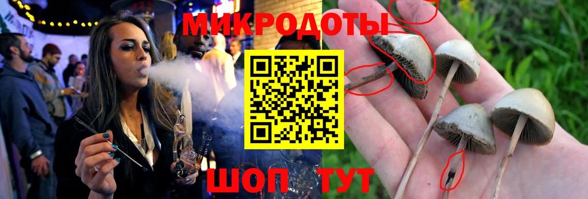 Галлюциногенные грибы GOLDEN TEACHER  Вход с VPN  Волжский 